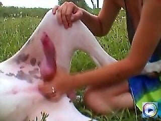 Zoo porno and bestiality