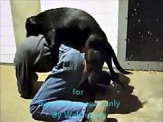 Zoo porn and zoo sex video