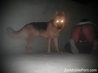 Dude wants to have his asshole gaped by a dog