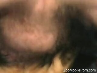 Hot mish  fuck movie showing a sexy beast fucking