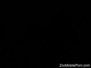 Masked beauty gets her pussy slammed well in zoophilia kinks
